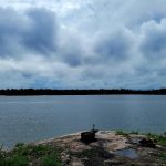 Hinsdale Island Campground