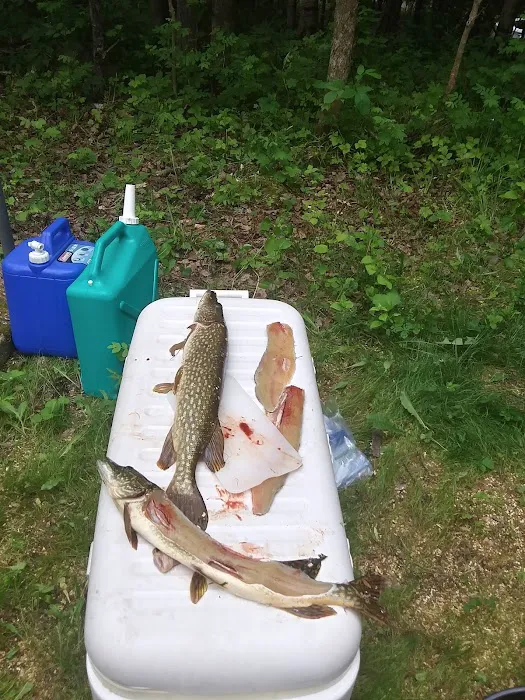 Wakemup Bay Campground Picture 6