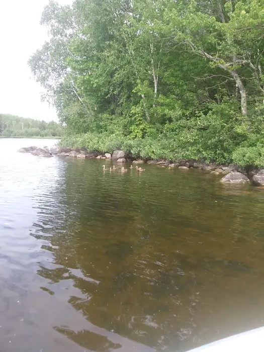 Wakemup Bay Campground Picture 7