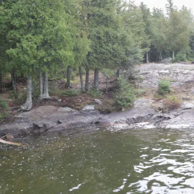 Bystrom Bay Campsite USFS Picture 4