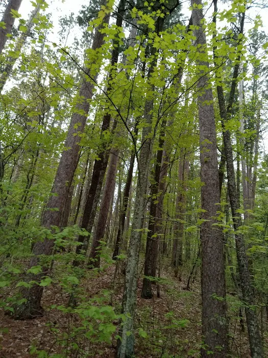 Side Lake Campground Picture 6
