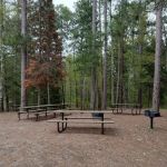 Group Camp