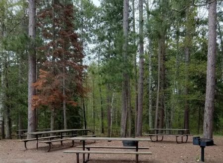 Group Camp