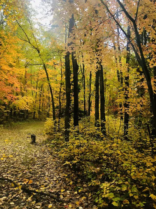 Stony Brook Horse Campground Picture 3