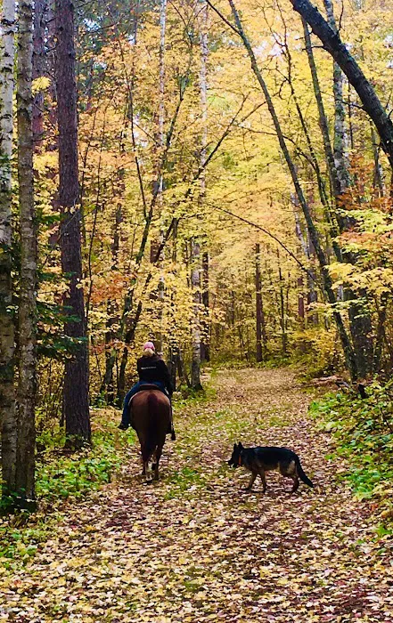 Stony Brook Horse Campground Picture 4