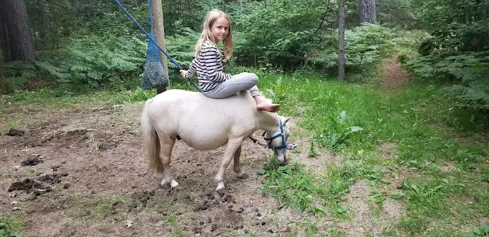 Stony Brook Horse Campground Picture 7