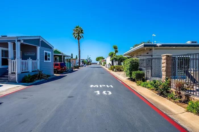 Bayscene Picture 3