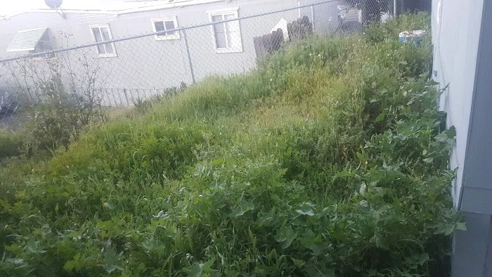 Bonita Vista Mobile Home Park Picture 4