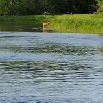 Knob Hill Campground