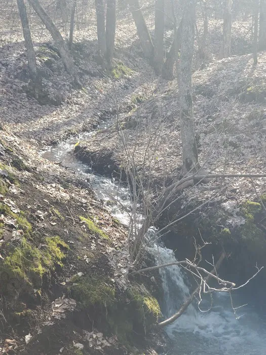 Knob Hill Campground Picture 3