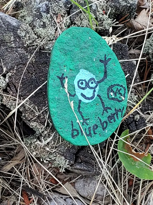 Knob Hill Campground Picture 10