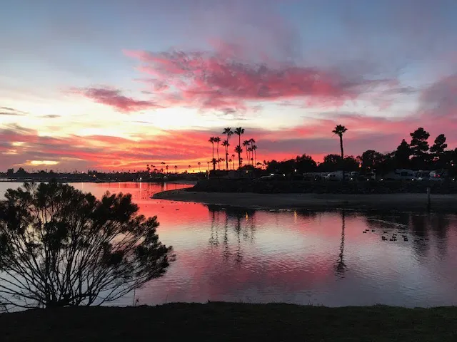 Mission Bay RV Resort Picture 8