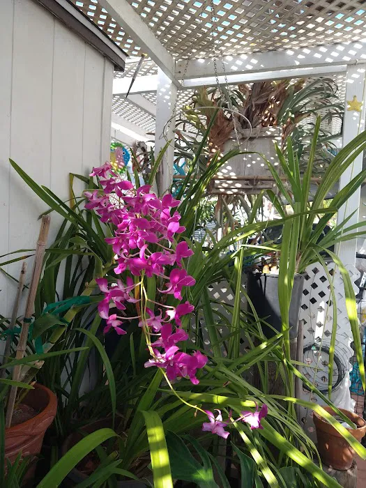Bonita Paradise Mobile Home Pk Picture 4