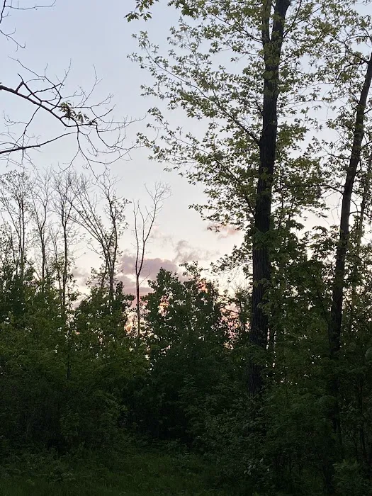 Camping at spider lake Picture 7