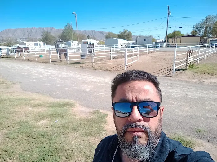 Lazy S Horse Stables & Mobile Home Park Picture 1