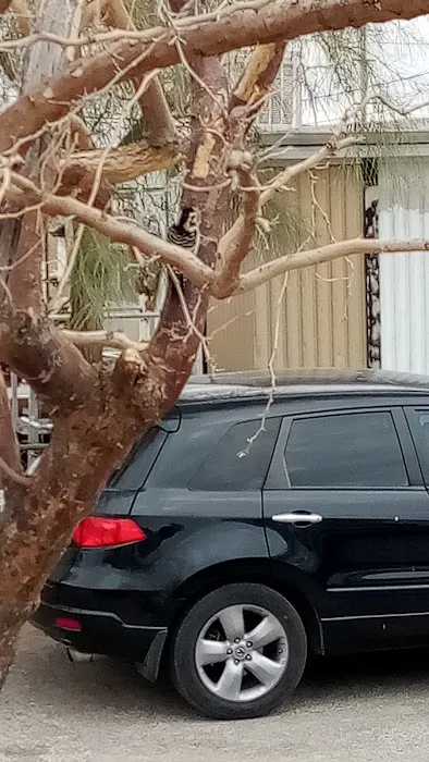 Willows Mobile Home Park Picture 7