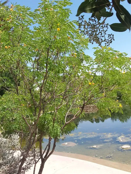 Rio Grande Mobile Home Community Picture 10