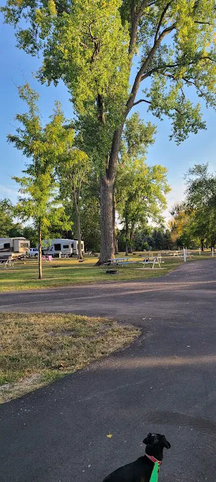 Sexauer Campground Picture 1