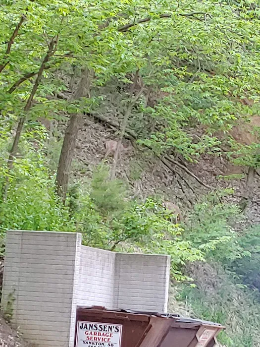 Midway Gulch Campground Picture 4
