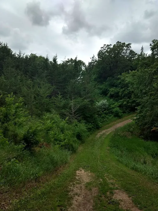 South Shore Equestrian Campground Picture 4