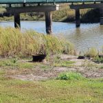 Olivet Campground