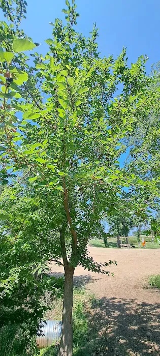 Olivet Campground Picture 7