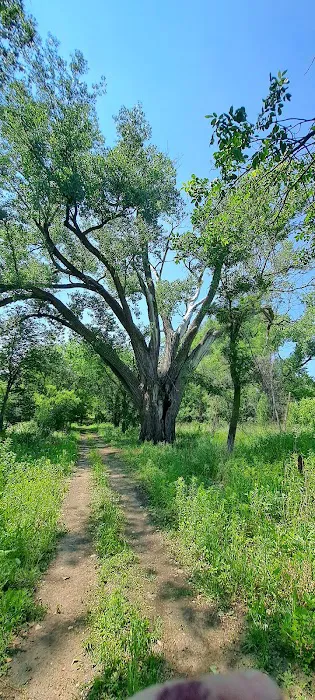 Olivet Campground Picture 9