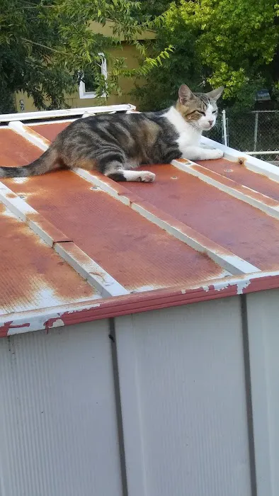 McMullen Mobile Home Park Picture 4