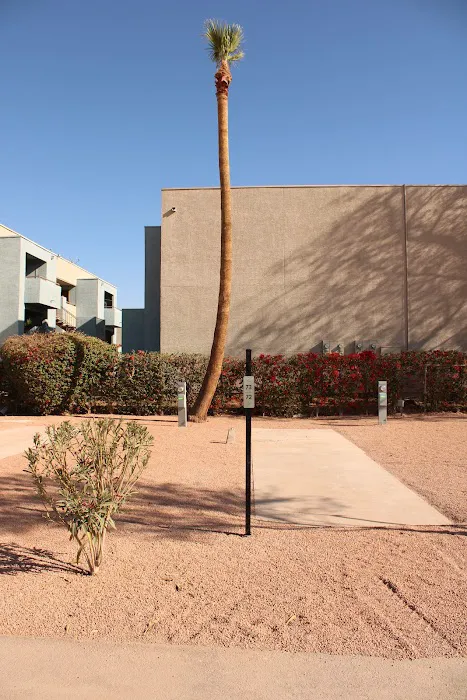 Mesa Gardens RV Park Picture 8