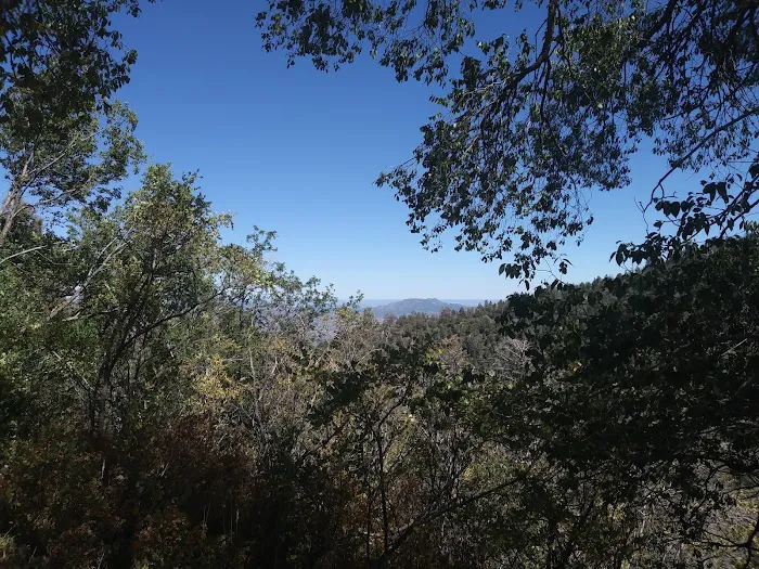 Cedro Peak Group Campground Picture 4