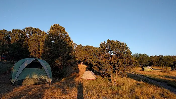 Cedro Peak Group Campground Picture 6