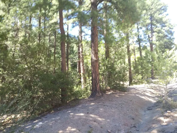 Cedro Peak Group Campground Picture 9