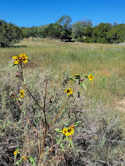 Cedro Peak Group Campground Picture 10