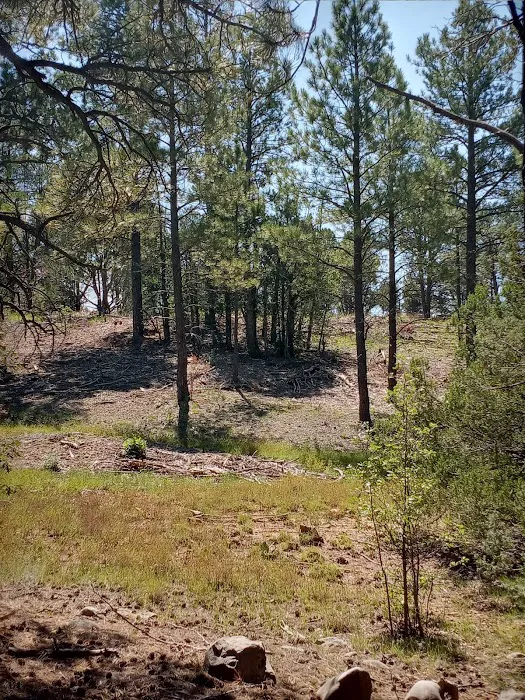 Pine Flat Group Picnic Site (recgovnpsdata) Picture 1