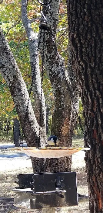 Tall Chief Cove Campground Picture 6