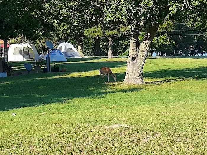 Walnut Creek Park COE Picture 5