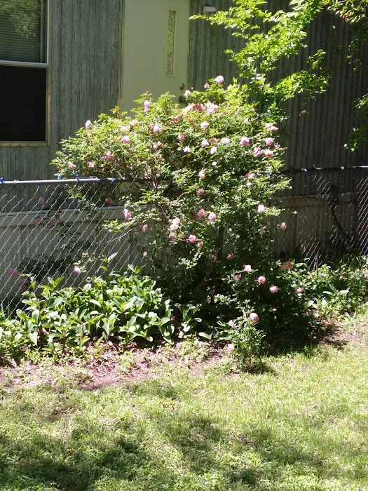 Aero Mobile Home Park Picture 6