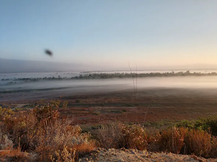 Tijuana River Valley Campground Picture 6