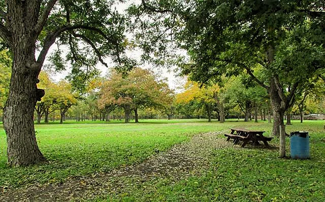 Pecan Park Mobile Homes Picture 3