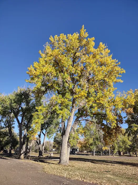 Cottonwood Grove Camping Loop Cherry Creek State Park Picture 4