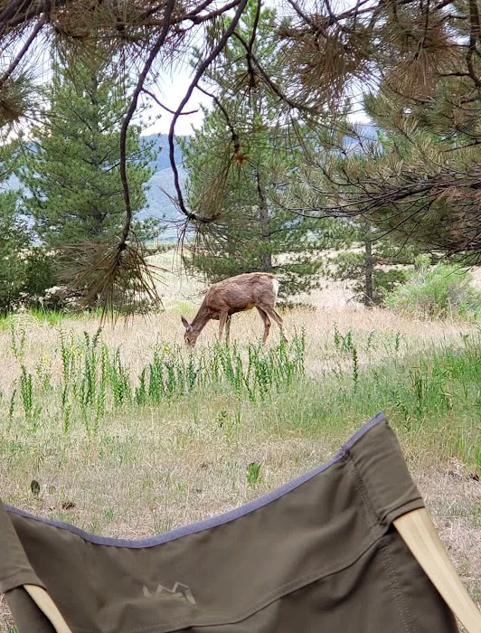 Chatfield State Park Campground Picture 9