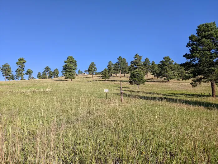 Sawmill Hiker Campground Picture 9