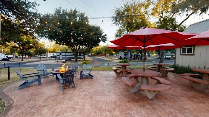 San Antonio / Alamo KOA Holiday Picture 7