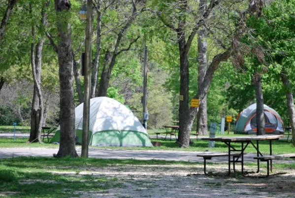 San Antonio / Alamo KOA Holiday Picture 8