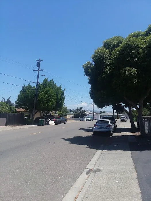 San Leandro Village MH & RV Park Picture 8