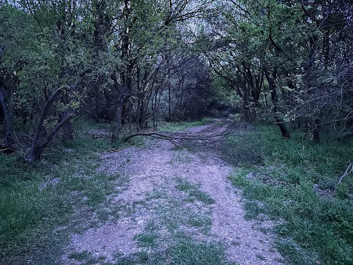 Lost Woods Campground Picture 1