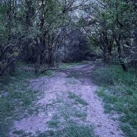 Lost Woods Campground ico