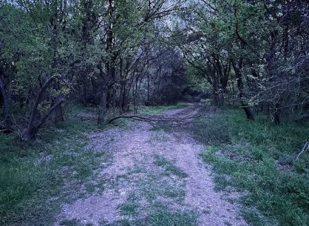 Lost Woods Campground