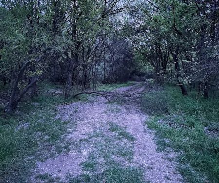 Lost Woods Campground