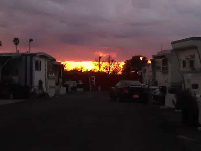 Salels Mobile Home Park Picture 4